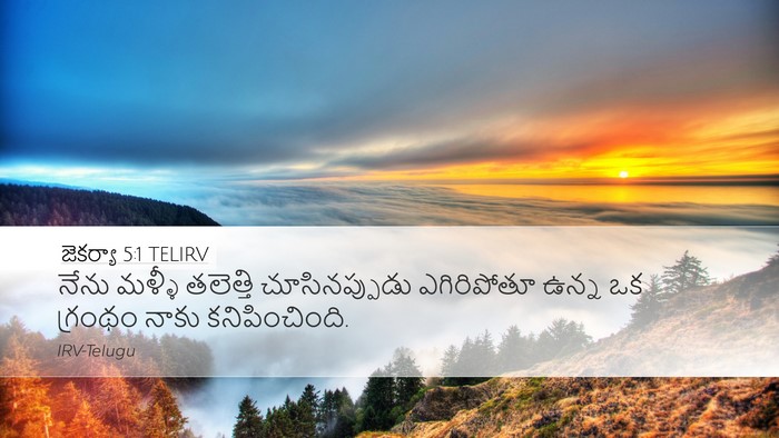 జెకర్యా 5:1 TELIRV Bible Verse Image