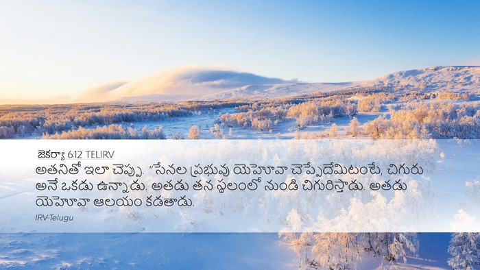 జెకర్యా 6:12 TELIRV Bible Verse Image