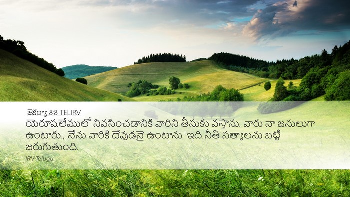 జెకర్యా 8:8 TELIRV Bible Verse Image