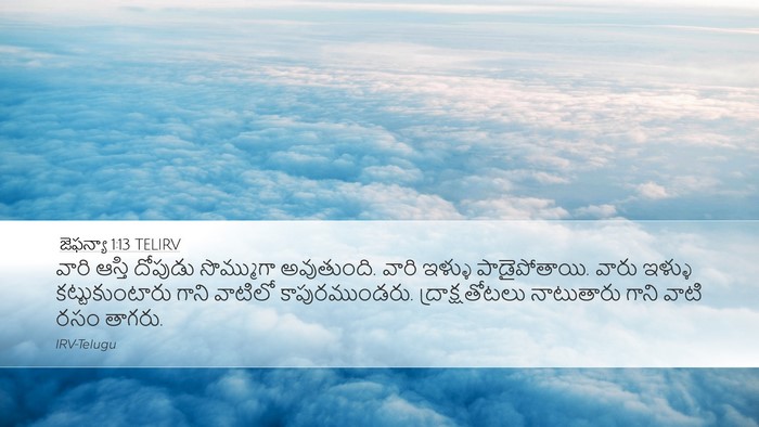 జెఫన్యా 1:13 TELIRV Bible Verse Image