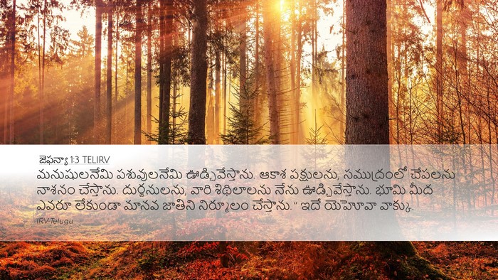జెఫన్యా 1:3 TELIRV Bible Verse Image