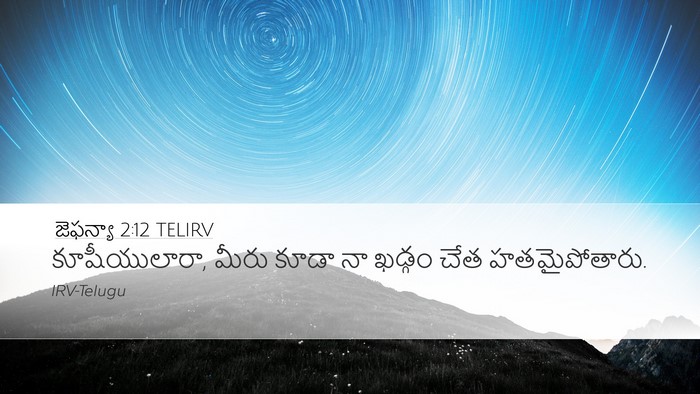 జెఫన్యా 2:12 TELIRV Bible Verse Image