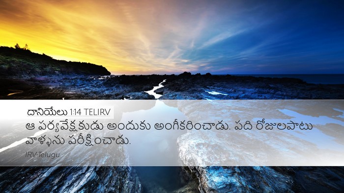 దానియేలు 1:14 TELIRV Desktop Wallpaper - ఆ పర్యవేక్షకుడు - Desktop Bible Verse Wallpaper