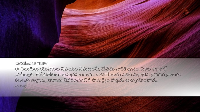 దానియేలు 1:17 TELIRV Bible Verse Image