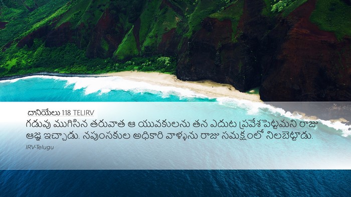 దానియేలు 1:18 TELIRV Desktop Wallpaper - గడువు ముగిసిన - Desktop Bible Verse Wallpaper