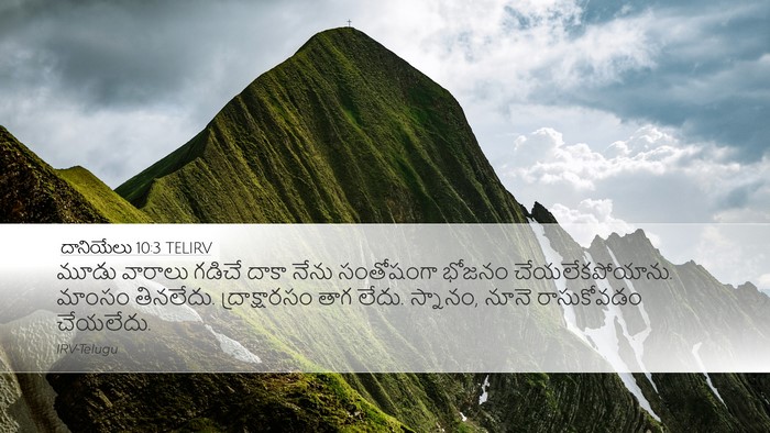 దానియేలు 10:3 TELIRV Bible Verse Image