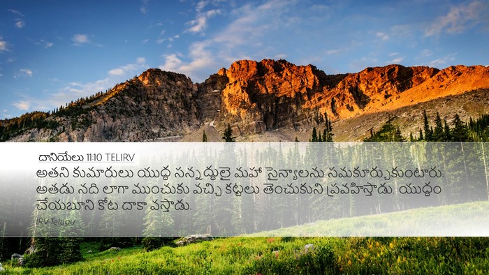 దానియేలు 11:10 TELIRV Bible Verse Image
