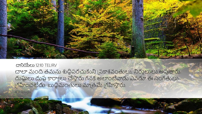 దానియేలు 12:10 TELIRV Bible Verse Image