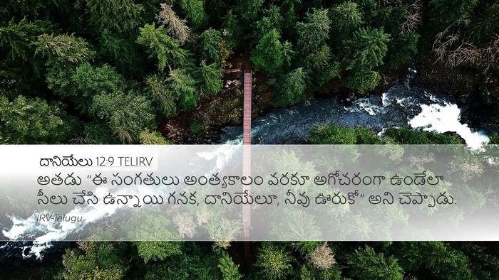 దానియేలు 12:9 TELIRV Bible Verse Image
