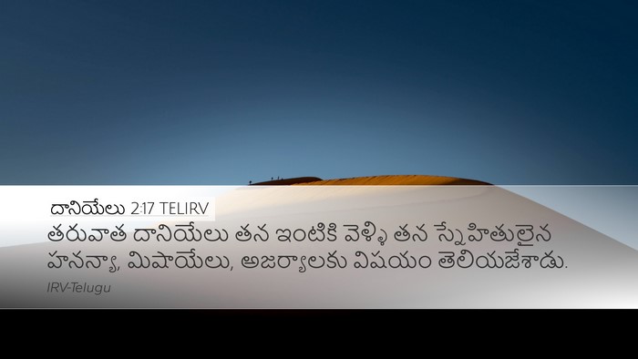 దానియేలు 2:17 TELIRV Bible Verse Image
