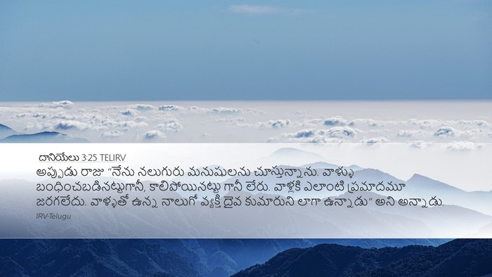 దానియేలు 3:25 TELIRV Bible Verse Image