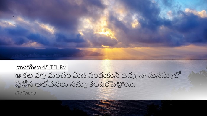 దానియేలు 4:5 TELIRV Bible Verse Image