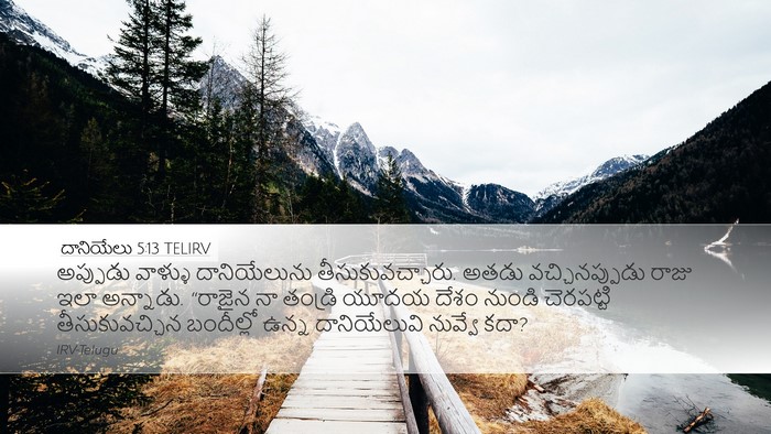 దానియేలు 5:13 TELIRV Bible Verse Image