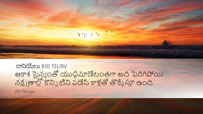 దానియేలు 8:10 TELIRV Bible Verse Image