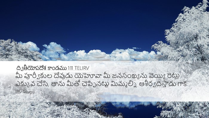 ద్వితీయోపదేశ కాండము 1:11 TELIRV Bible Verse Image