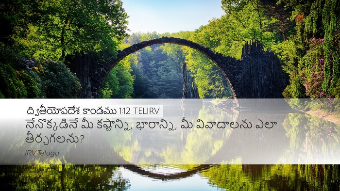 ద్వితీయోపదేశ కాండము 1:12 TELIRV Bible Verse Image