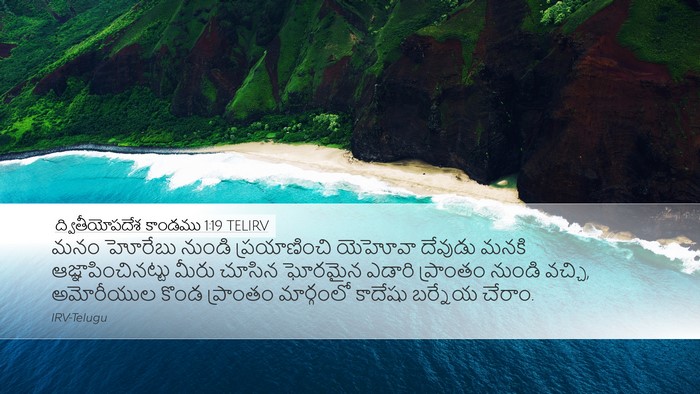 ద్వితీయోపదేశ కాండము 1:19 TELIRV Bible Verse Image
