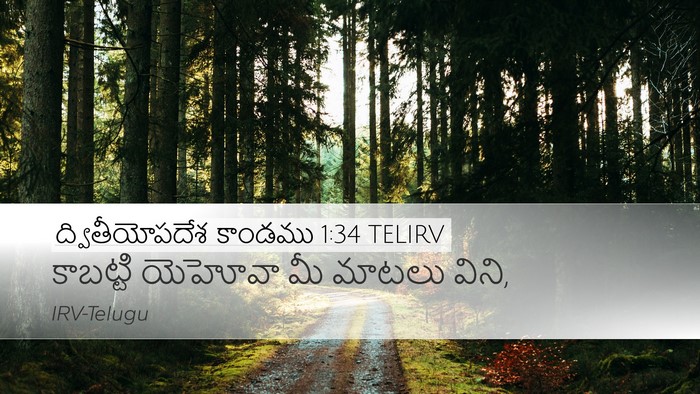 ద్వితీయోపదేశ కాండము 1:34 TELIRV Bible Verse Image