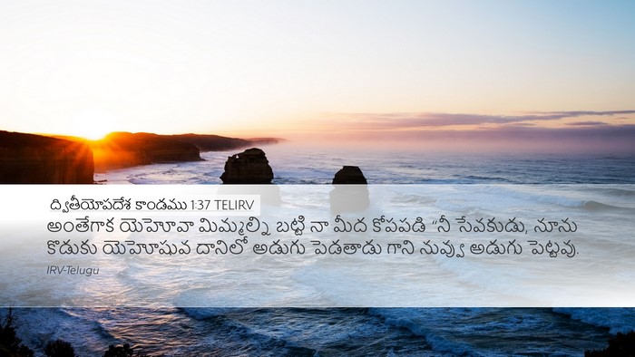 ద్వితీయోపదేశ కాండము 1:37 TELIRV Bible Verse Image
