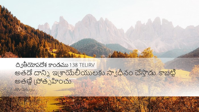 ద్వితీయోపదేశ కాండము 1:38 TELIRV Bible Verse Image