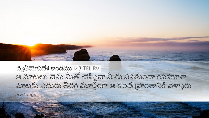 ద్వితీయోపదేశ కాండము 1:43 TELIRV Bible Verse Image