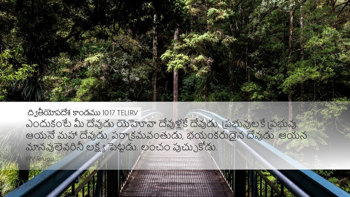 ద్వితీయోపదేశ కాండము 10:17 TELIRV Bible Verse Image