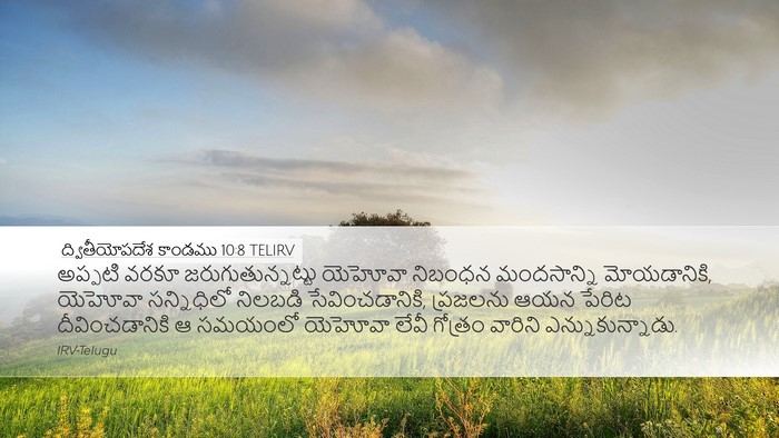 ద్వితీయోపదేశ కాండము 10:8 TELIRV Bible Verse Image