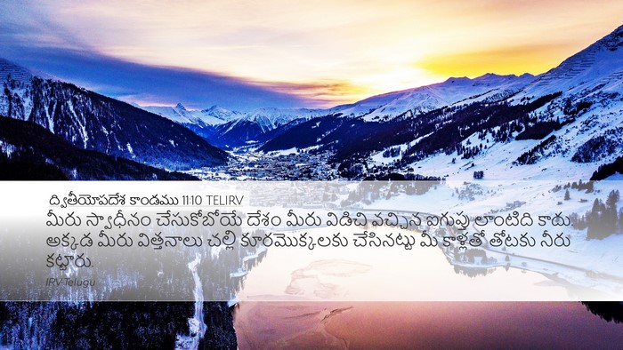 ద్వితీయోపదేశ కాండము 11:10 TELIRV Bible Verse Image
