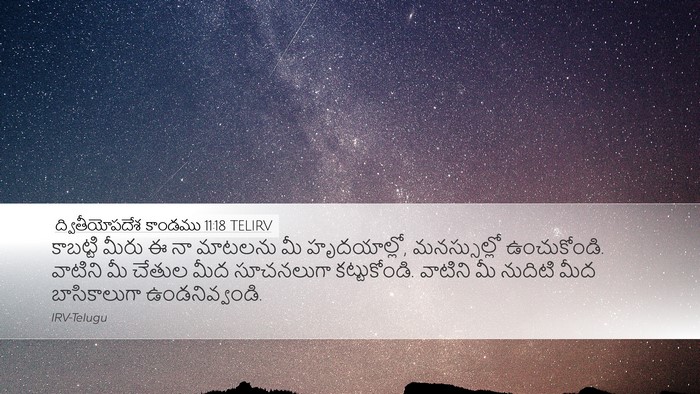 ద్వితీయోపదేశ కాండము 11:18 TELIRV Bible Verse Image