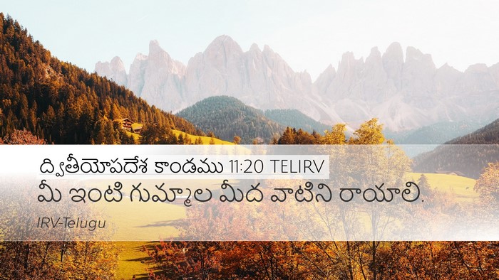 ద్వితీయోపదేశ కాండము 11:20 TELIRV Desktop Wallpaper - మీ ఇంటి గుమ్మాల - Desktop Bible Verse Wallpaper