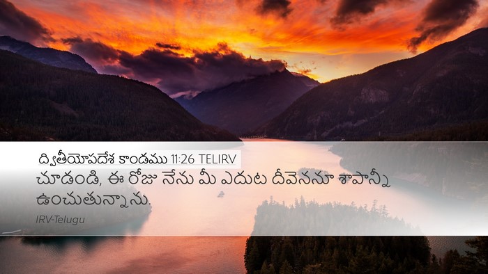 ద్వితీయోపదేశ కాండము 11:26 TELIRV Desktop Wallpaper - చూడండి, ఈ రోజు నేను - Desktop Bible Verse Wallpaper