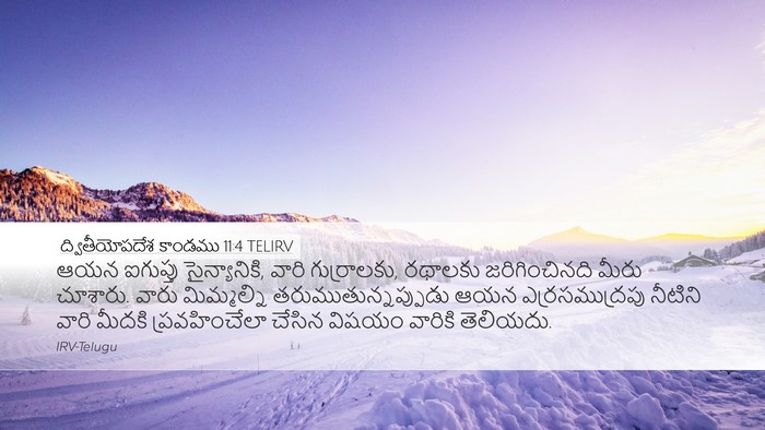 ద్వితీయోపదేశ కాండము 11:4 TELIRV Bible Verse Image