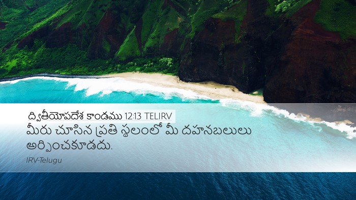 ద్వితీయోపదేశ కాండము 12:13 TELIRV Bible Verse Image