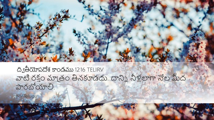 ద్వితీయోపదేశ కాండము 12:16 TELIRV Bible Verse Image