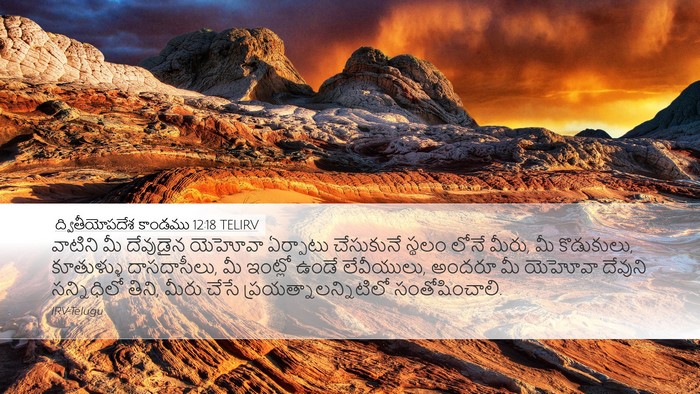 ద్వితీయోపదేశ కాండము 12:18 TELIRV Bible Verse Image