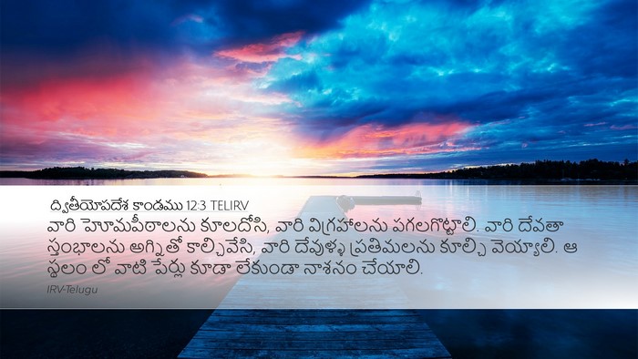 ద్వితీయోపదేశ కాండము 12:3 TELIRV Bible Verse Image