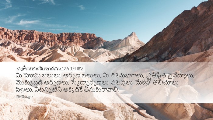 ద్వితీయోపదేశ కాండము 12:6 TELIRV Bible Verse Image
