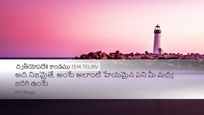 ద్వితీయోపదేశ కాండము 13:14 TELIRV Bible Verse Image