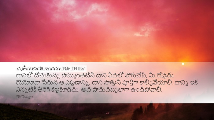 ద్వితీయోపదేశ కాండము 13:16 TELIRV Bible Verse Image
