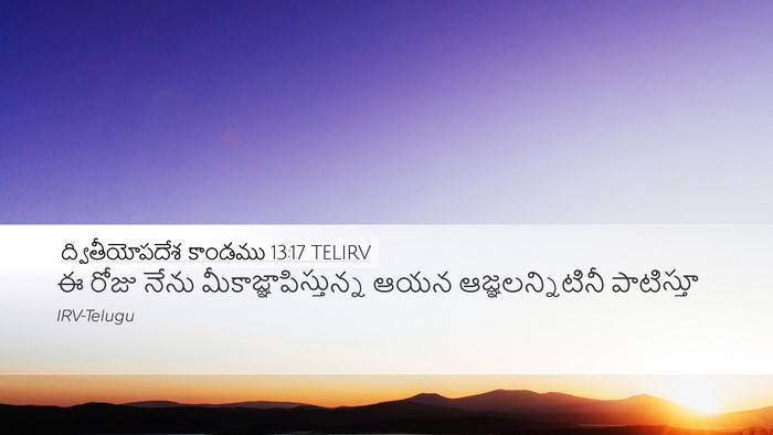 ద్వితీయోపదేశ కాండము 13:17 TELIRV Bible Verse Image