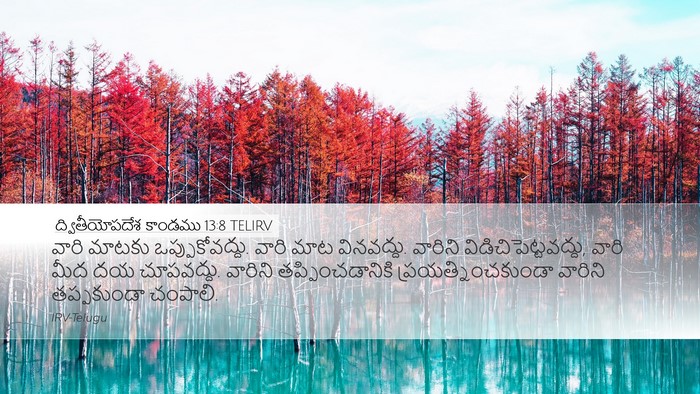 ద్వితీయోపదేశ కాండము 13:8 TELIRV Bible Verse Image