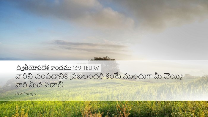 ద్వితీయోపదేశ కాండము 13:9 TELIRV Bible Verse Image