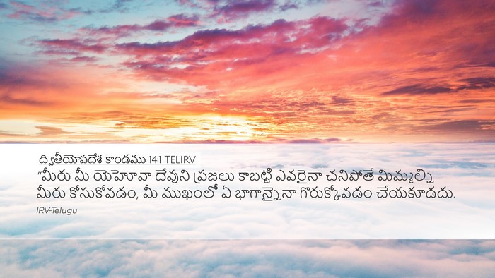 ద్వితీయోపదేశ కాండము 14:1 TELIRV Bible Verse Image