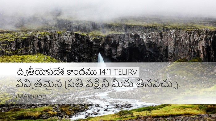 ద్వితీయోపదేశ కాండము 14:11 TELIRV Desktop Wallpaper - పవిత్రమైన ప్రతి - Desktop Bible Verse Wallpaper