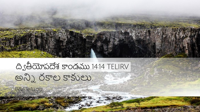 ద్వితీయోపదేశ కాండము 14:14 TELIRV Desktop Wallpaper - అన్ని రకాల - Desktop Bible Verse Wallpaper