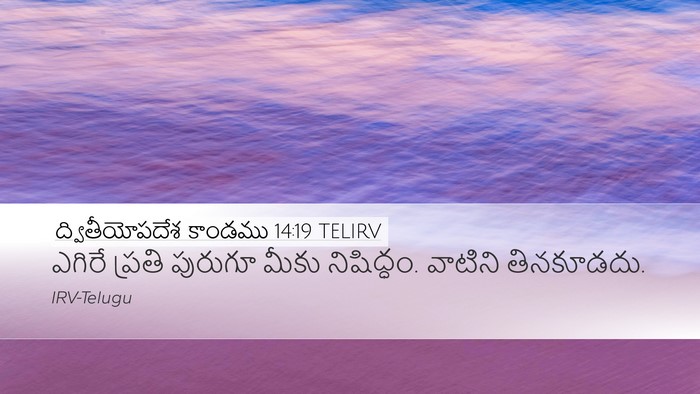 ద్వితీయోపదేశ కాండము 14:19 TELIRV Bible Verse Image