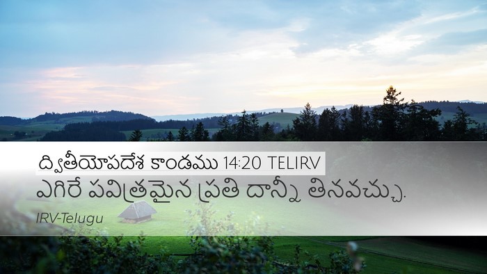 ద్వితీయోపదేశ కాండము 14:20 TELIRV Desktop Wallpaper - ఎగిరే పవిత్రమైన - Desktop Bible Verse Wallpaper