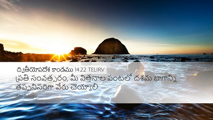 ద్వితీయోపదేశ కాండము 14:22 TELIRV Bible Verse Image