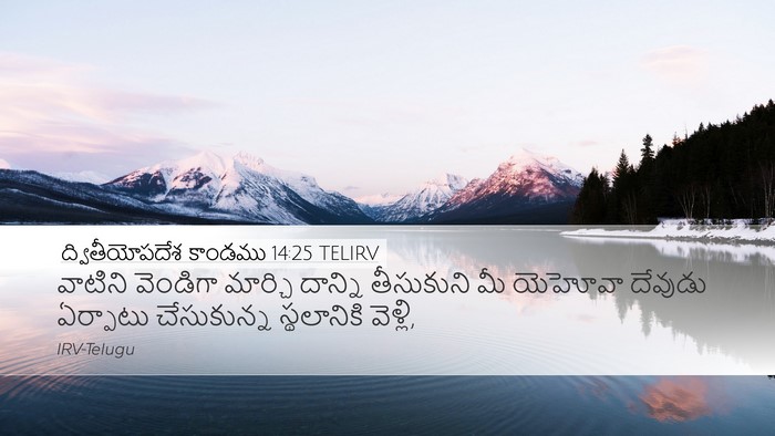 ద్వితీయోపదేశ కాండము 14:25 TELIRV Bible Verse Image