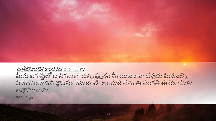 ద్వితీయోపదేశ కాండము 15:15 TELIRV Bible Verse Image